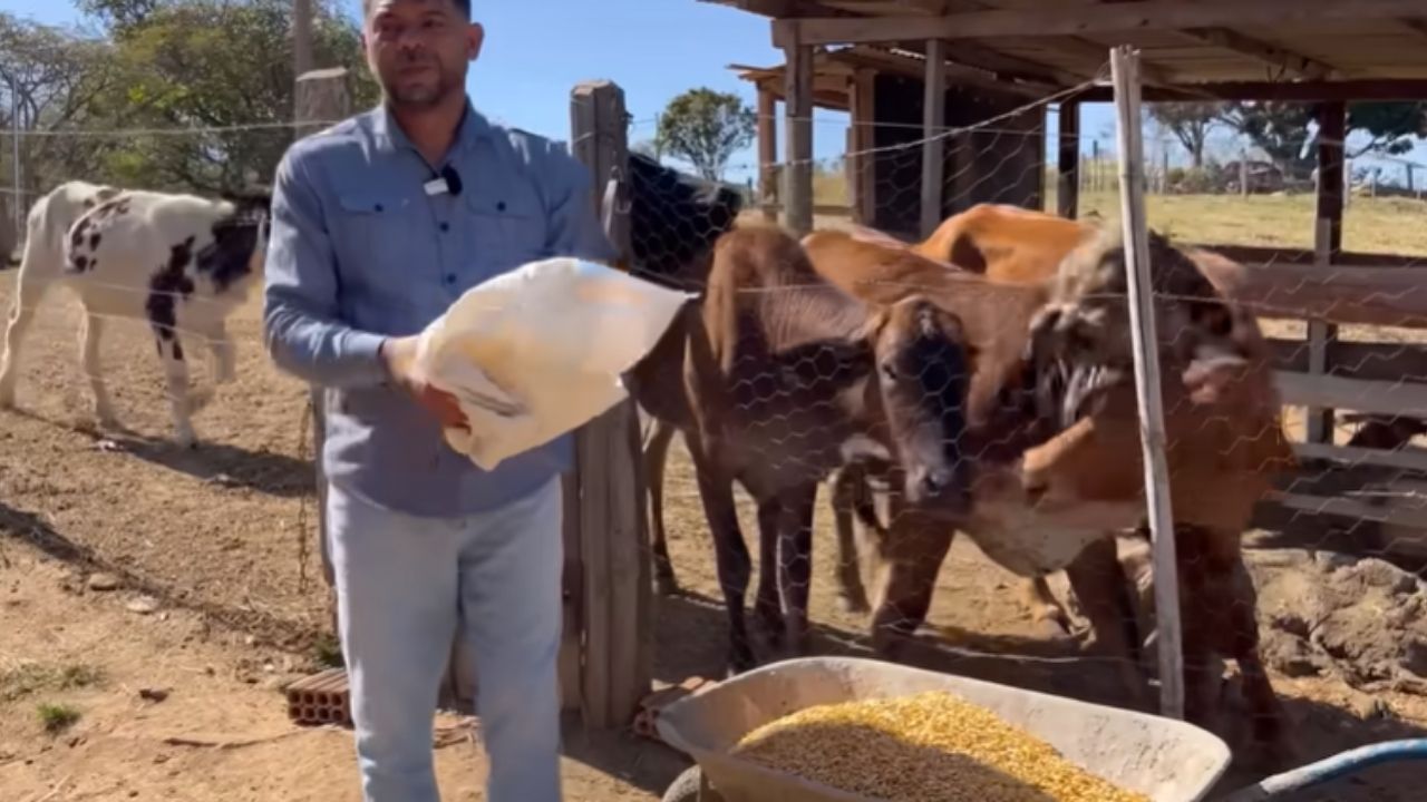 Ceará cambia Fortaleza por Minas Gerais, encuentra vida en el campo y transforma escombros en huerta que sostiene a la familia.