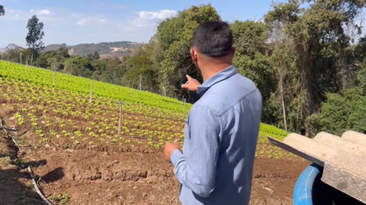 Ceará troca Fortaleza por Minas Gerais, encontra vida no campo e transforma entulho em horta que sustenta a família.