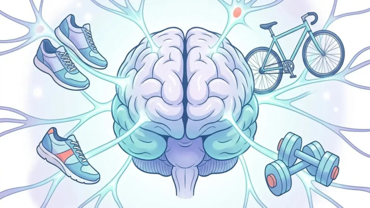 Lack of activities harms memory