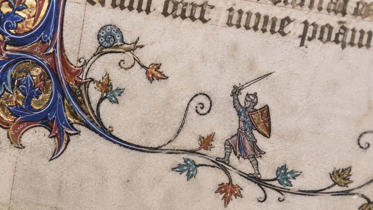 Caballero medieval con espada y escudo enfrenta un caracol sobre viñas decorativas en una marginación de manuscrito antiguo.