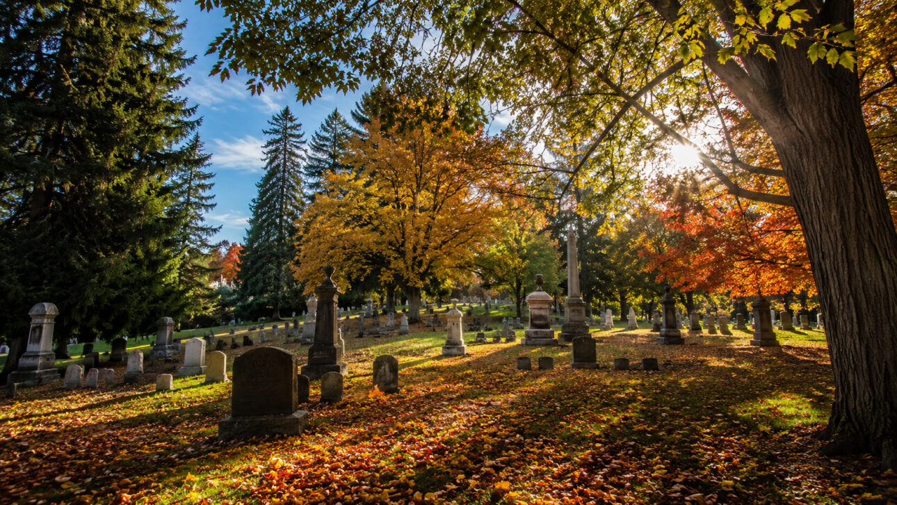 Wide view of a cemetery surrounded by large trees and abundant vegetation, illustrating the type of tranquil and undisturbed environment that favors the presence of underground bees and other wild fauna species.