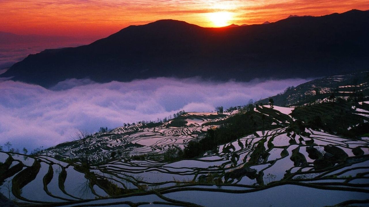 China tem uma escadaria gigante de arroz esculpida por 1.300 anos nas montanhas, com até 3.000 terraços, 82 aldeias e 445 km de canais, mas a obra ancestral que venceu secas agora