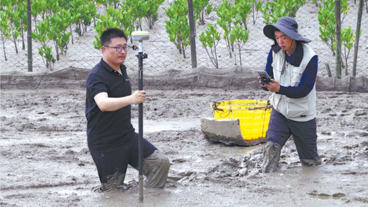 Image source - https://www.chinadaily.com.cn/a/202606/22/WS6a388793a310986e2b4610a2.html