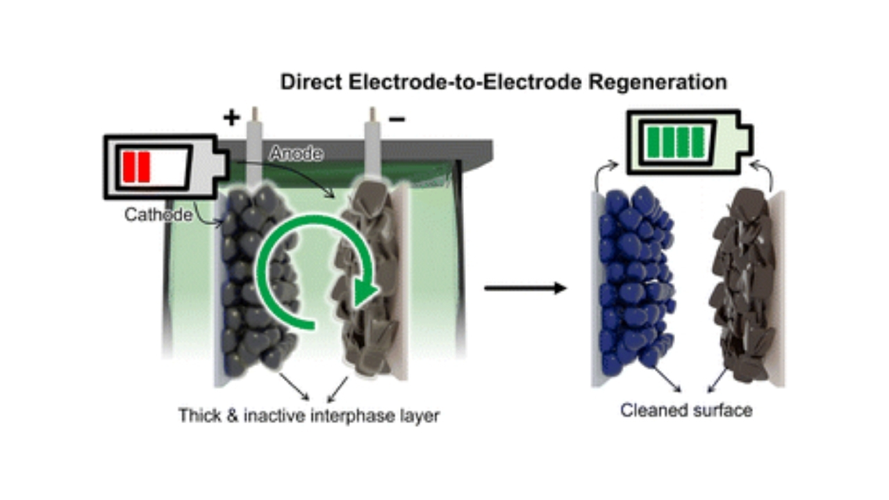 Baterías usadas de ion-litio pueden recuperar capacidad con método de Cornell que regenera electrodos.