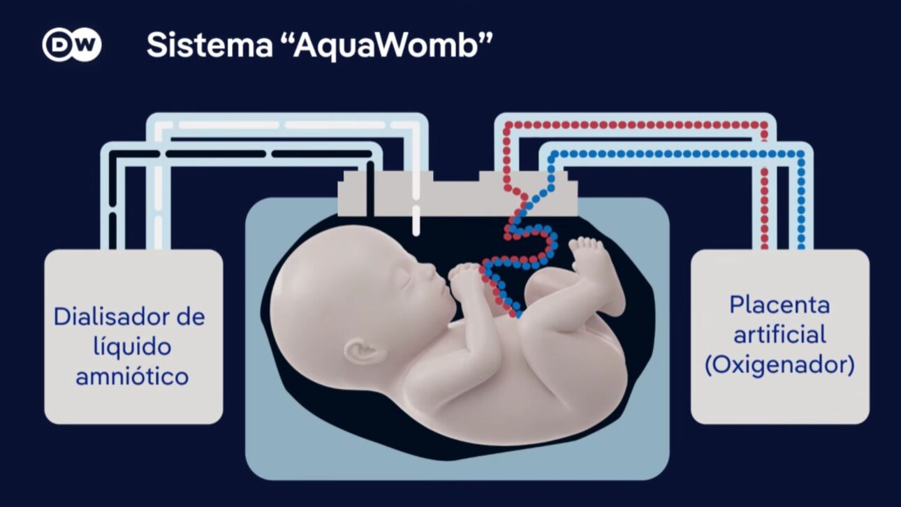 Pesquisadores de Eindhoven desenvolvem o AquaWomb, útero artificial para prematuros extremos. Testes clínicos em 5 a 6 anos. E surge a pergunta: quem vai controlar a reprodução?