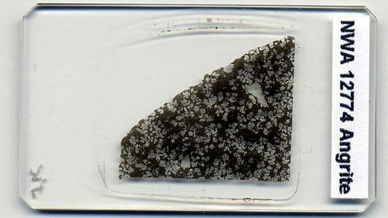NWA 12774