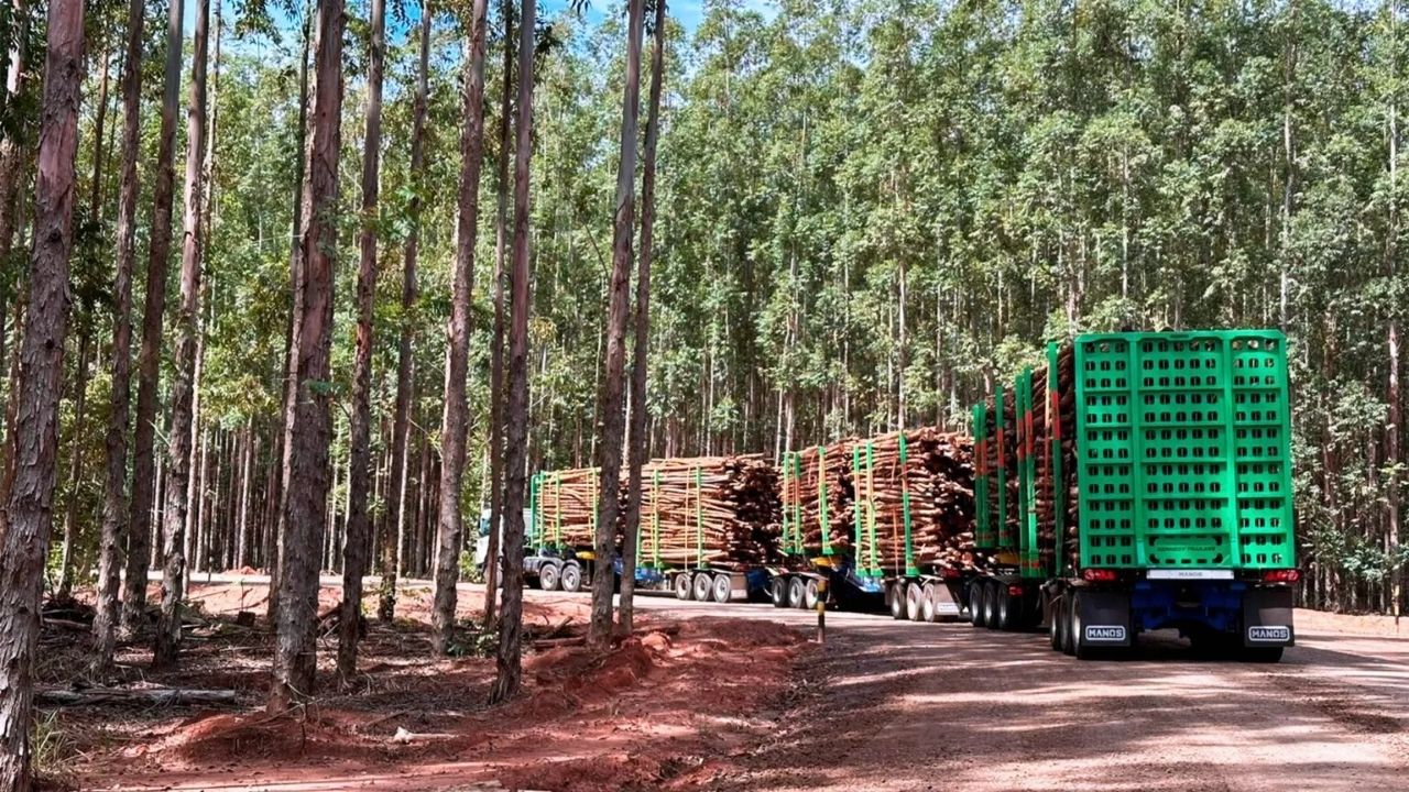 Megatrem da Manos com Kennedy Trailers leva 240 toneladas e muda transporte florestal no Brasil.