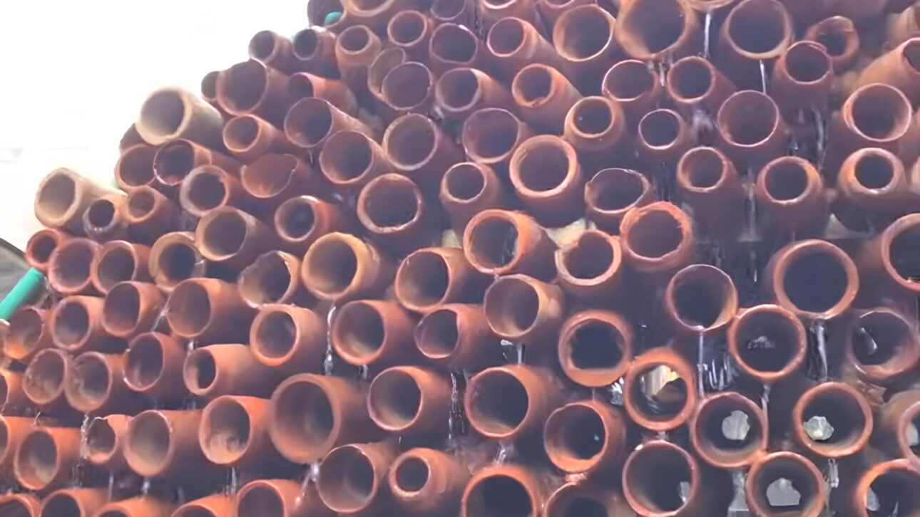 CoolAnt Beehive