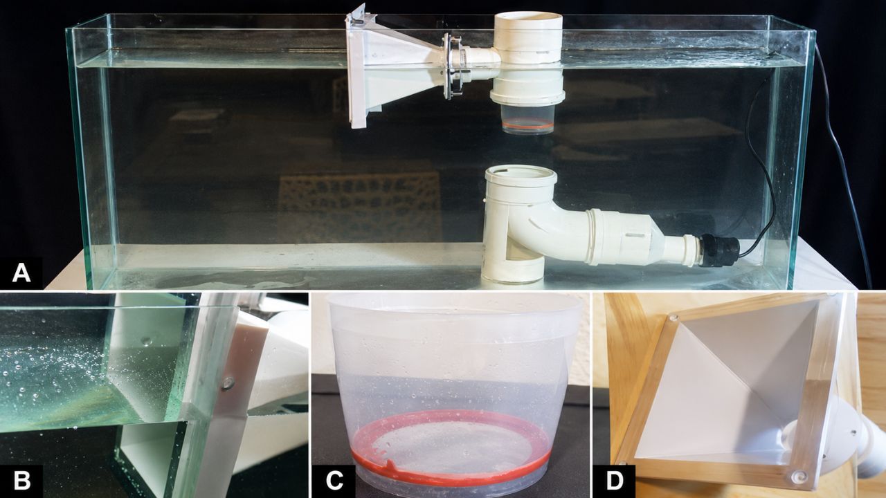 Representation of the filter prototype (A). Detail of the rectangular horn with adapted angular supports (B). Cylinder with 300 µm nylon mesh at the bottom (C). Rectangular structure with tapered ends, made from an automotive horn (D).