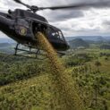 Helicóptero lança 12 mil kg de sementes no Paraná em ação de reflorestamento ligada à meta de plantar 100 milhões de árvores. (Imagem: Ilustrativa)