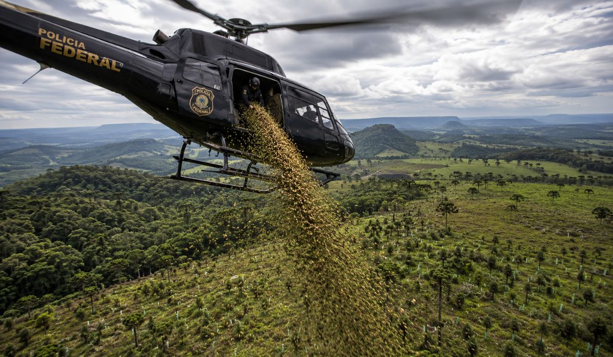 Helicóptero lança 12 mil kg de sementes no Paraná em ação de reflorestamento ligada à meta de plantar 100 milhões de árvores. (Imagem: Ilustrativa)