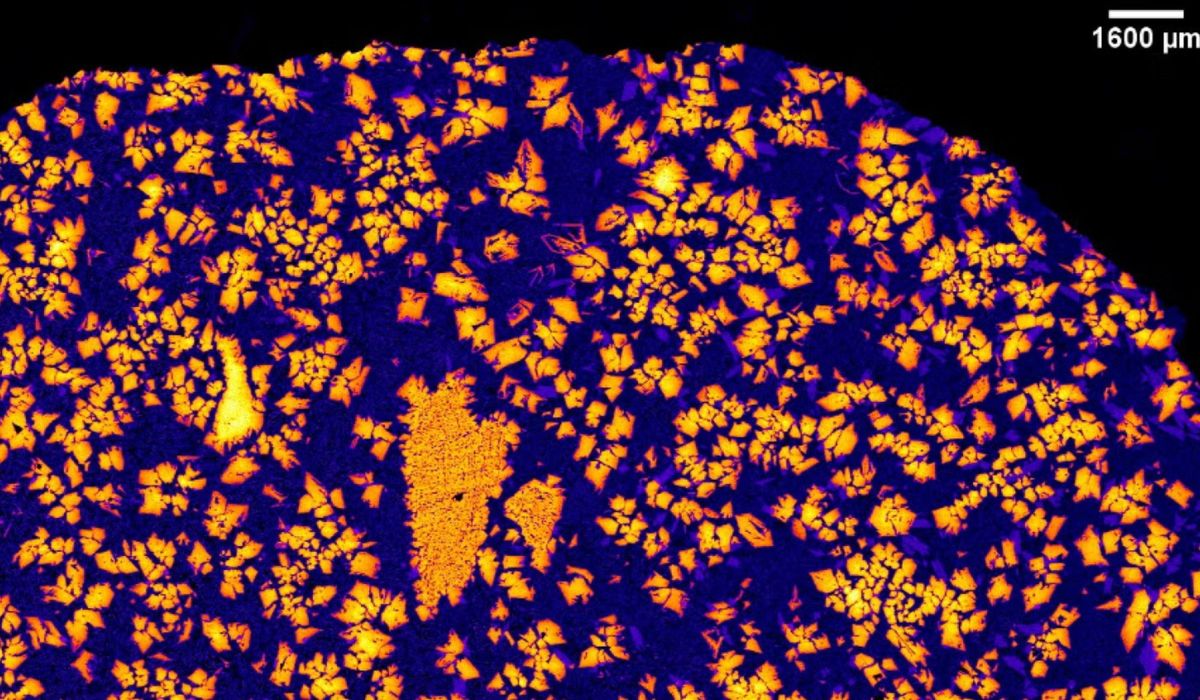 Imagem de raio-X de NWA 12774. (Crédito: Imagem de raio-X de NWA 12774.)