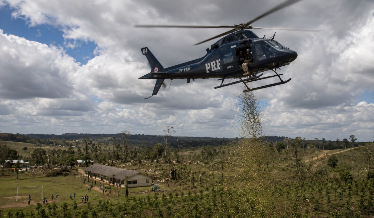 Helicóptero da PRF lança sementes de palmeira-juçara no Paraná em ação aérea de reflorestamento e recuperação da Mata Atlântica. (Imagem: Ilustrativa)