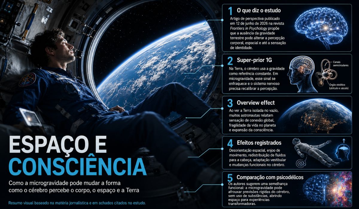 Saiba tudo sobre o estudo