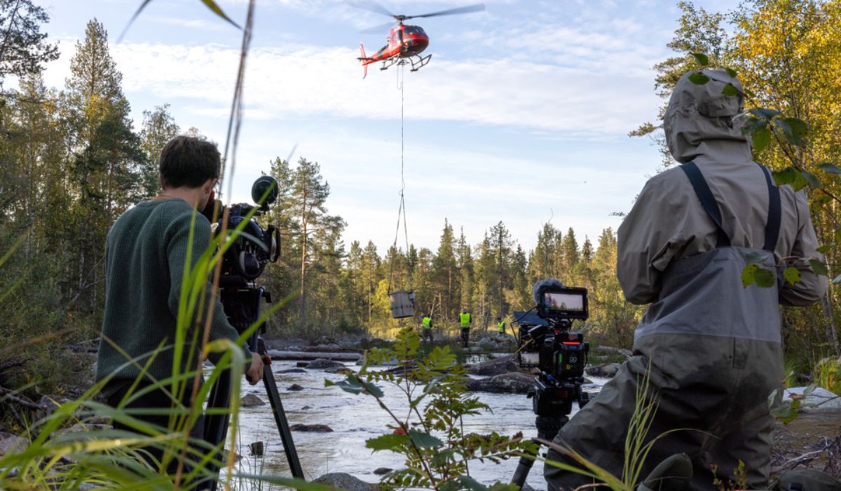 Imagem: Reprodução/rewilding-sweden