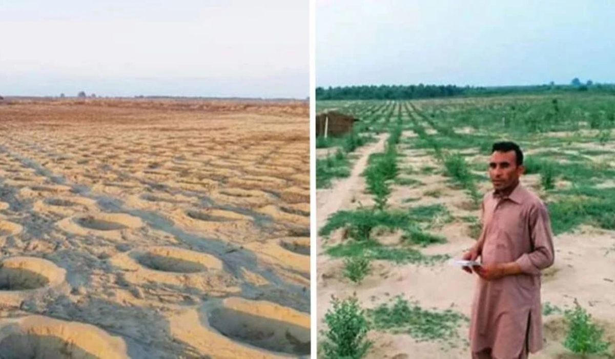 These images show the "before and after" of a reforestation effort in Pakistan, known as the "10 Billion Tree Tsunami" project. (Image: Reproduction)