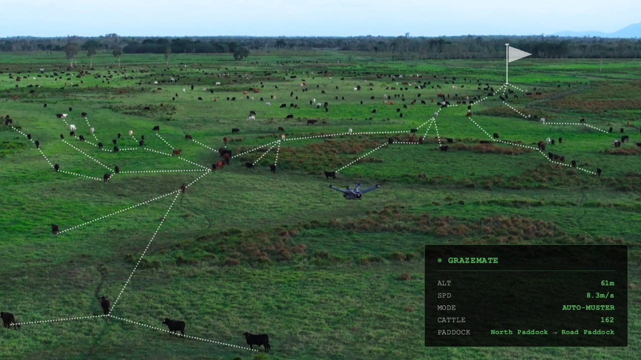 GrazeMate's autonomous drone flies over the pasture and uses artificial intelligence to map the herd, indicate movement routes, and show how cattle management can be controlled by an app.