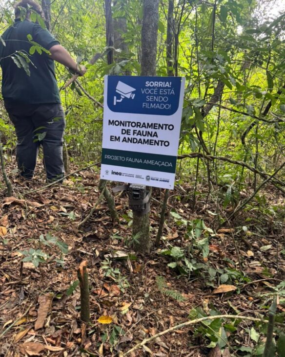 Placa do Projeto Fauna Ameaçada indica área de monitoramento no Rio, onde armadilhas fotográficas serão usadas para registrar animais silvestres e ajudar na atualização da lista estadual de fauna ameaçada, parada desde 1998.