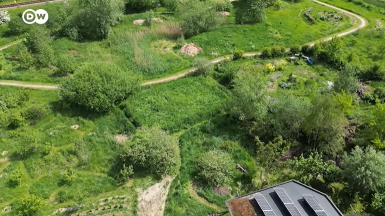 todas as águas residuais são bombeadas para um campo duas vezes ao dia, onde o oxigênio das raízes das plantas alimenta as bactérias que decompõem os resíduos orgânicos, e a água já limpa segue depois para um lago.