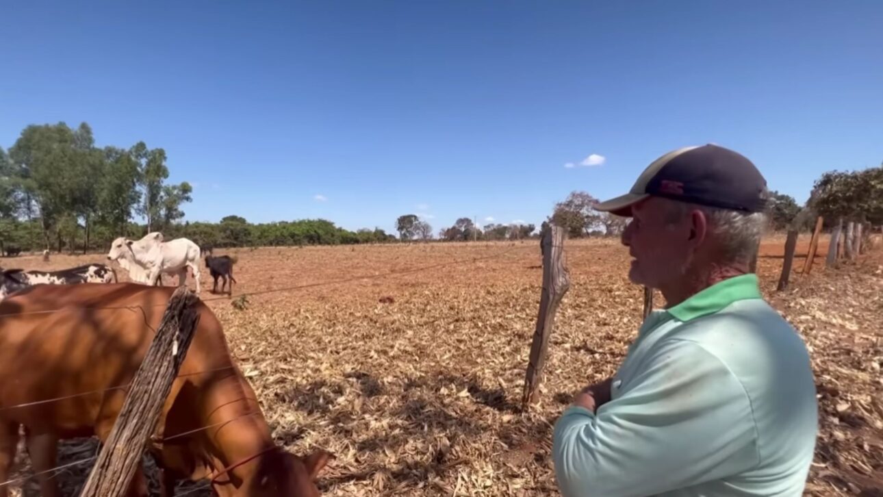 In 36 hectares in the Northwest of Minas, producer Sô Neném claims to earn up to 15 thousand reais per week at the market with diversified garden, cattle, silage, and fish.
