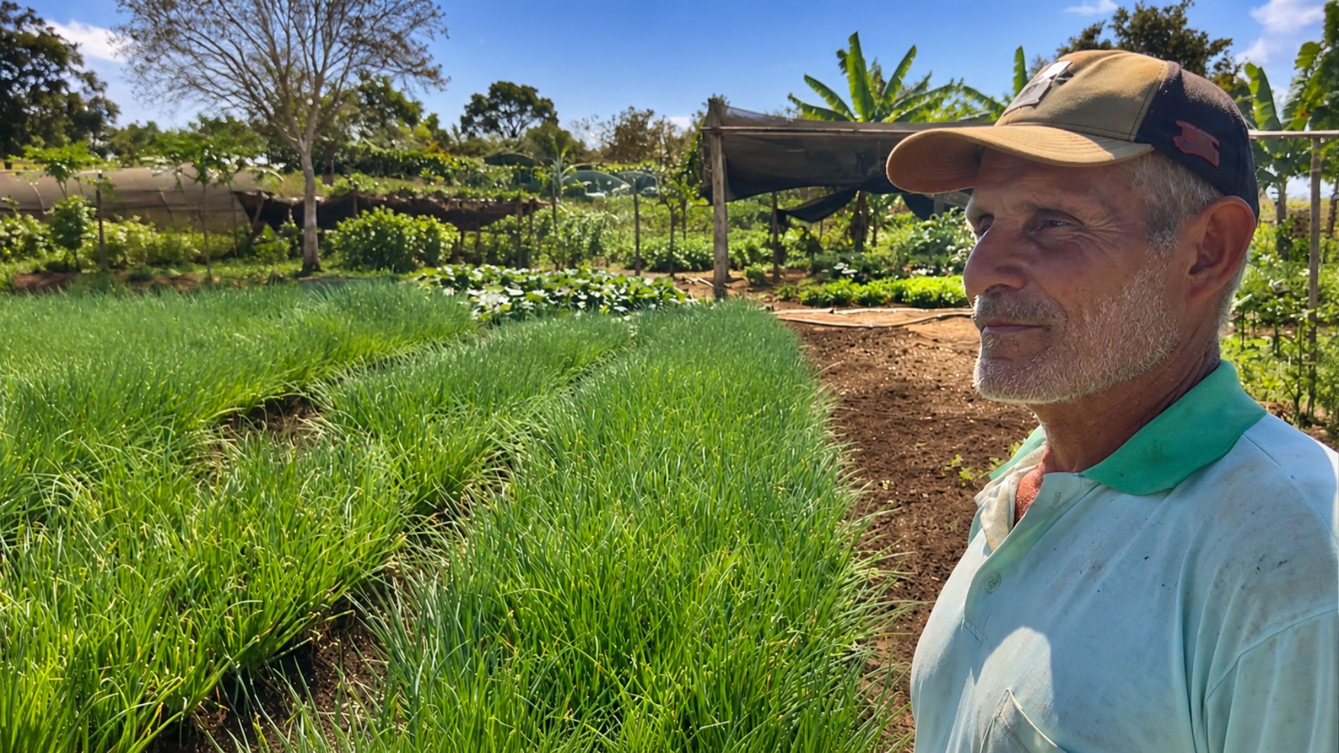 Em 36 hectares no Noroeste de Minas, o produtor Sô Neném afirma faturar até 15 mil reais por semana na feira com horta, gado, silagem e peixe diversificados.