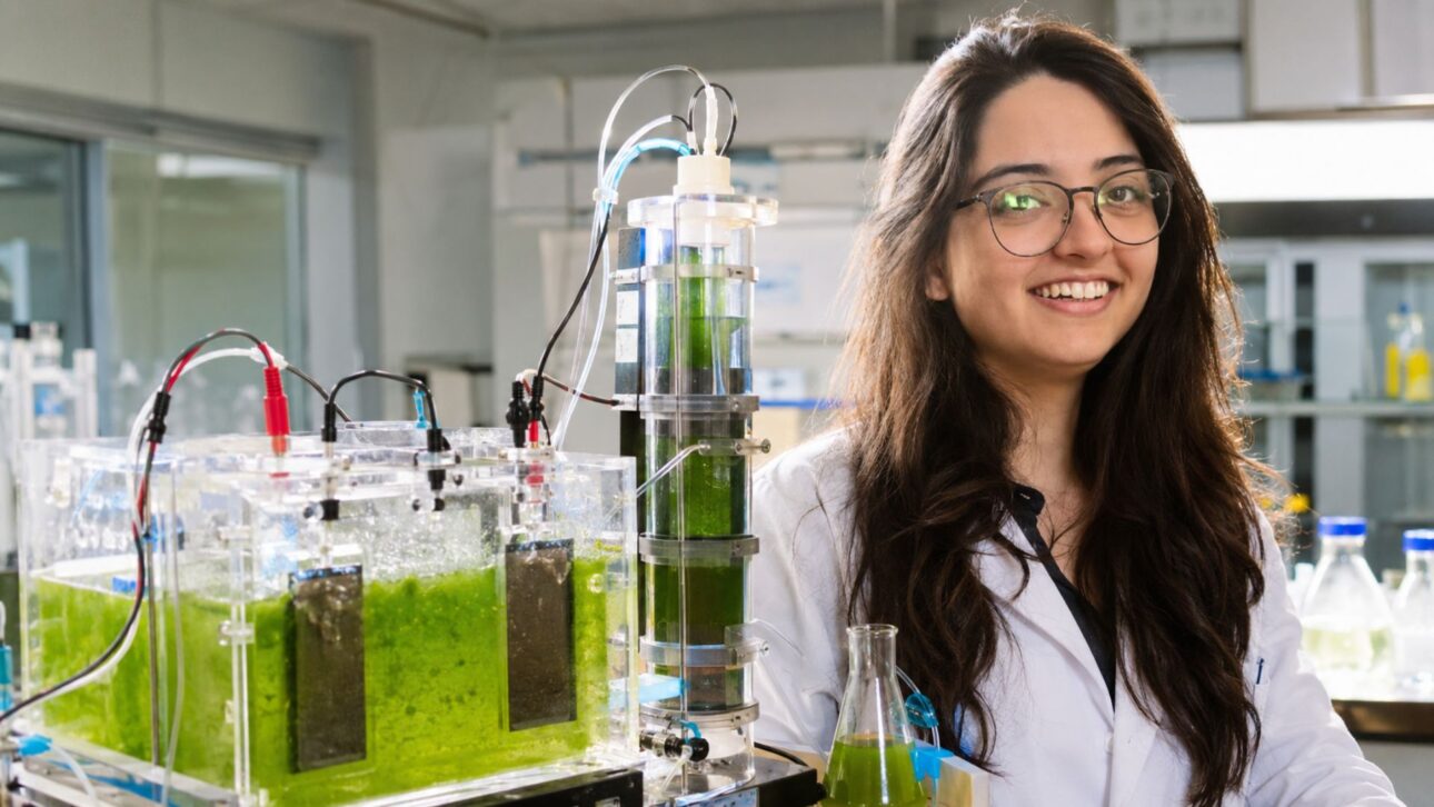 At Unesp, a cyanobacteria from Ubatuba became a bio-photovoltaic cell: through photosynthesis, it generates 227 mW/m², captures CO2, and releases oxygen.
