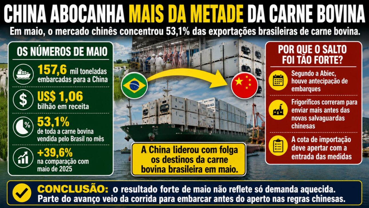imagem ilustrativa/explicativa