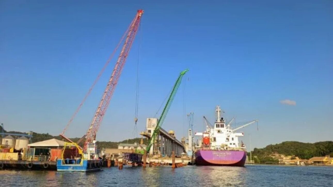 Ships move cargo along the Brazilian coast and put São Francisco do Sul on the route (Photo: Norsul, Divulgação)