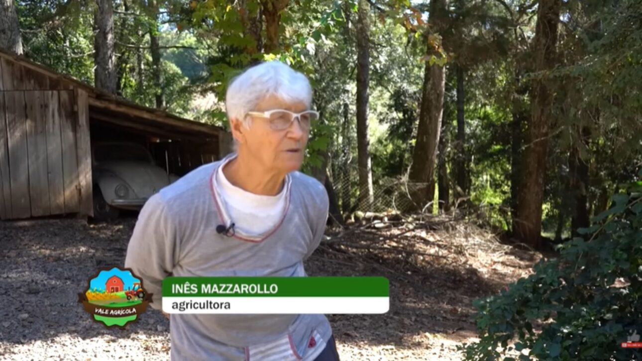Ângelo, 36 years old, and his aunt Inês, 75, maintain the Mazarolo family property as an almost self-sufficient system, with milk, rice, yerba mate, wine, cheese, flour, meat, eggs, and even solar energy
