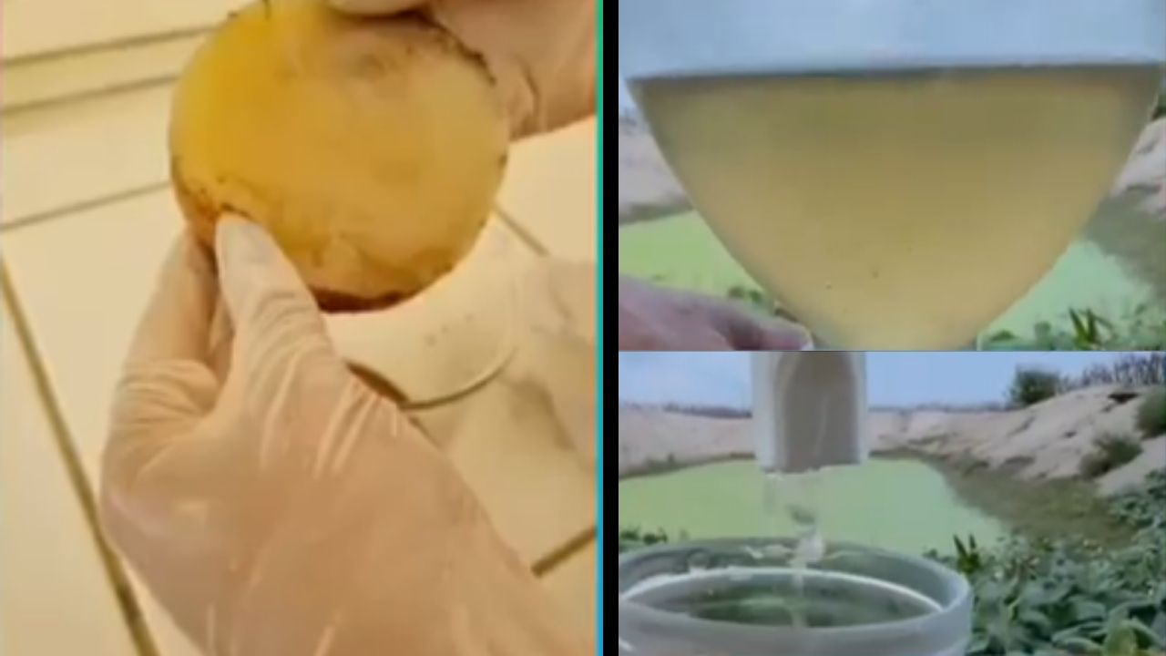agua contaminada gana solución con membrana biopolimérica: tratamiento de agua de la FEBRACE apunta a agua potable en comunidades.