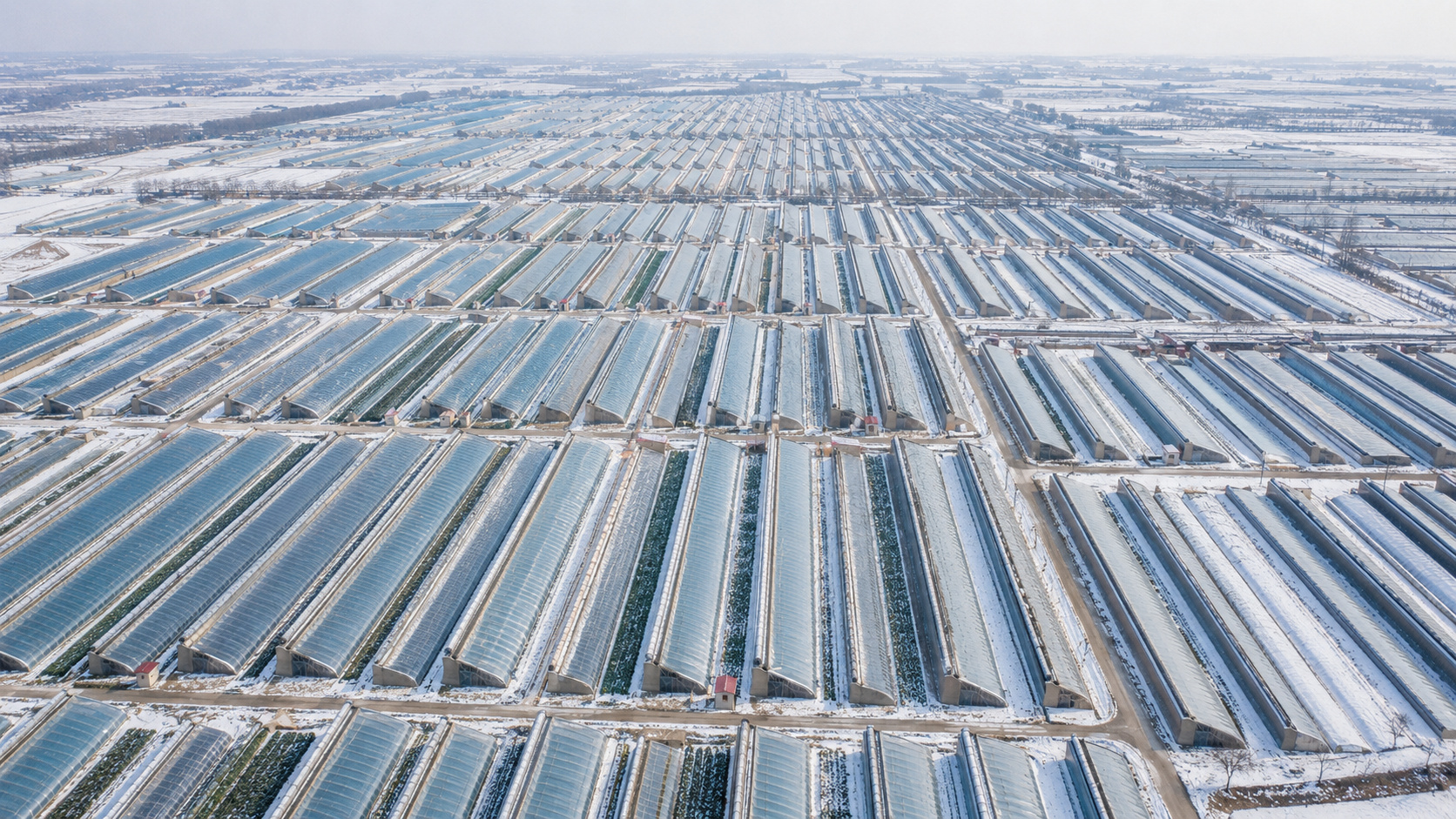 Estufas solares chinesas usam paredes térmicas e mantas isolantes para produzir alimentos