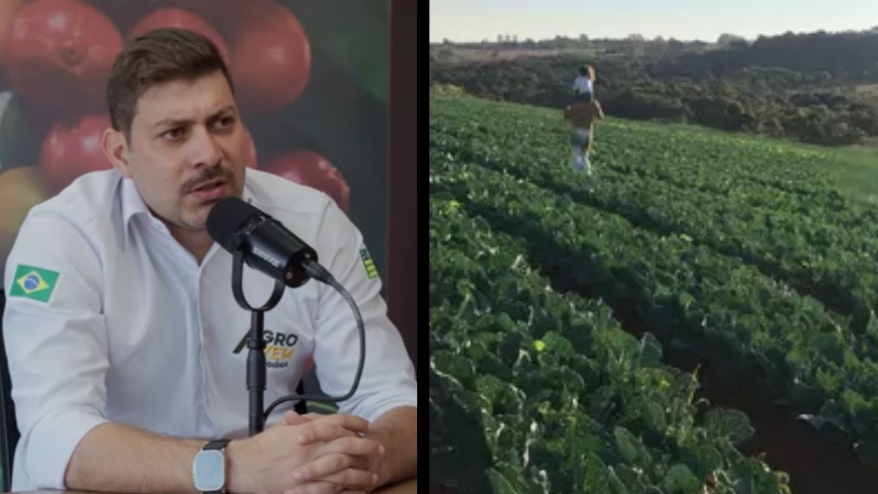 Ex-BBB Caio Afiune revelou como uma decisão errada no cultivo de 800 mil pés de repolho virou dívida de R$ 1,5 milhão e mudou sua visão sobre dinheiro, lavoura e risco; a história mostra por
