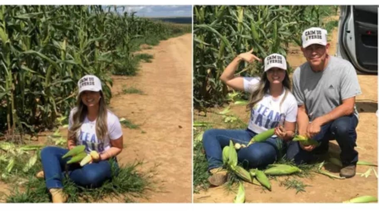 Cabbage becomes a rural management alert after farm debt shows how market, costs, and agricultural planning weigh in the field.