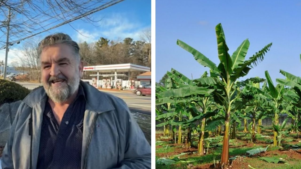 Ex-produtor milionário de banana em Corupá quebrou no Brasil, perdeu fazenda com 50 mil pés e caminhões após calotes, foi para os Estados Unidos com US$ 28 no bolso e reconstruiu a vida (5)