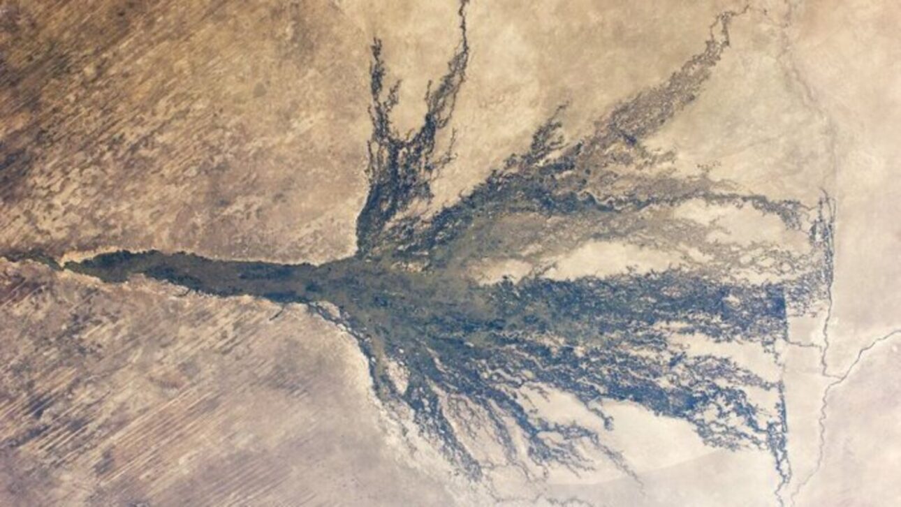 Okavango, o rio que desaparece no meio do deserto, não chega ao oceano e transforma areia seca em vida na África
