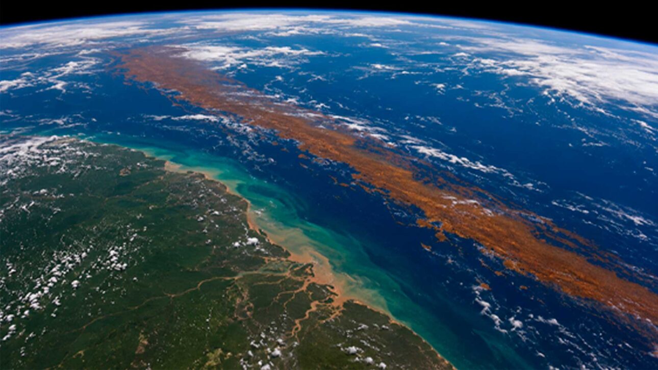 Faixa gigante de sargaço avança pelo Atlântico e chega à rota das praias do Norte do Brasil