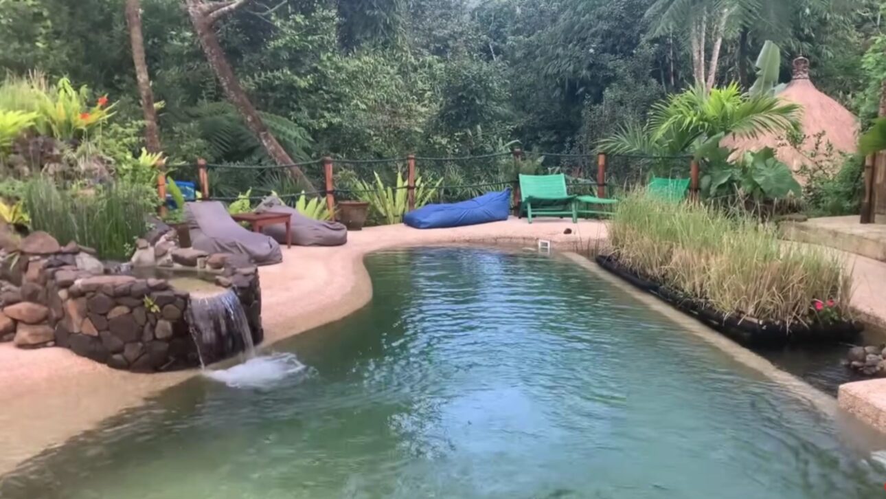 Piscina natural sem cloro do Bali Eco Lodge usa cascatas, vetiver e peixes para manter a agua cristalina. Entenda como funciona a filtragem por raizes e cascalho.