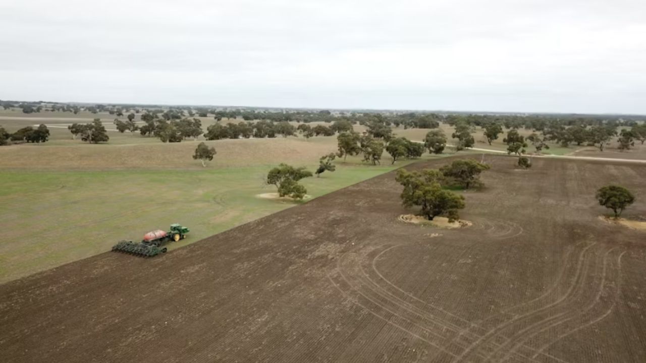 Fazendeiros recusam milhões enquanto data centers miram terras agrícolas na Austrália e IA reacende debate sobre comida e campo.