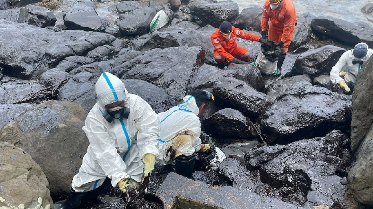 Fibra de coco cria barreiras biodegradáveis contra petróleo no mar, protegendo manguezais e comunidades costeiras.