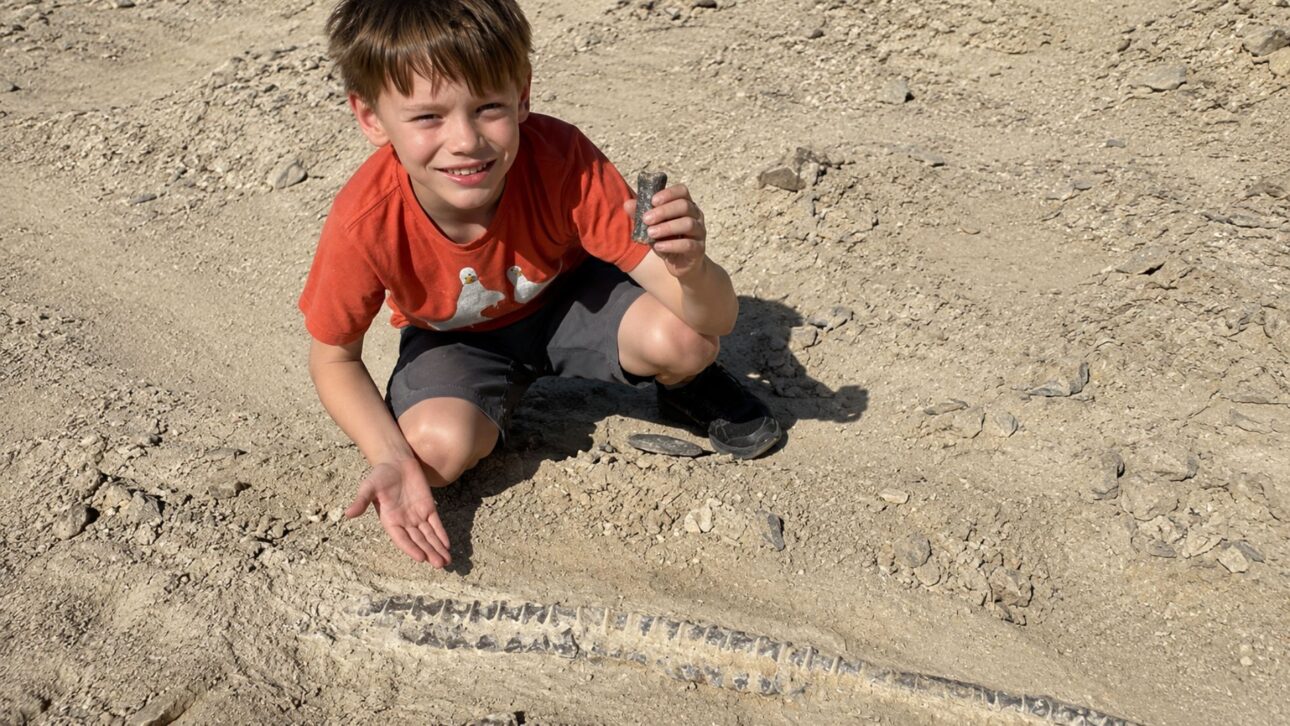 En excursión de club en Kansas, un niño de 12 años encontró un fósil de tilosaurio de 80 millones de años, reptil marino del Cretácico, tipo de mosasaurio.