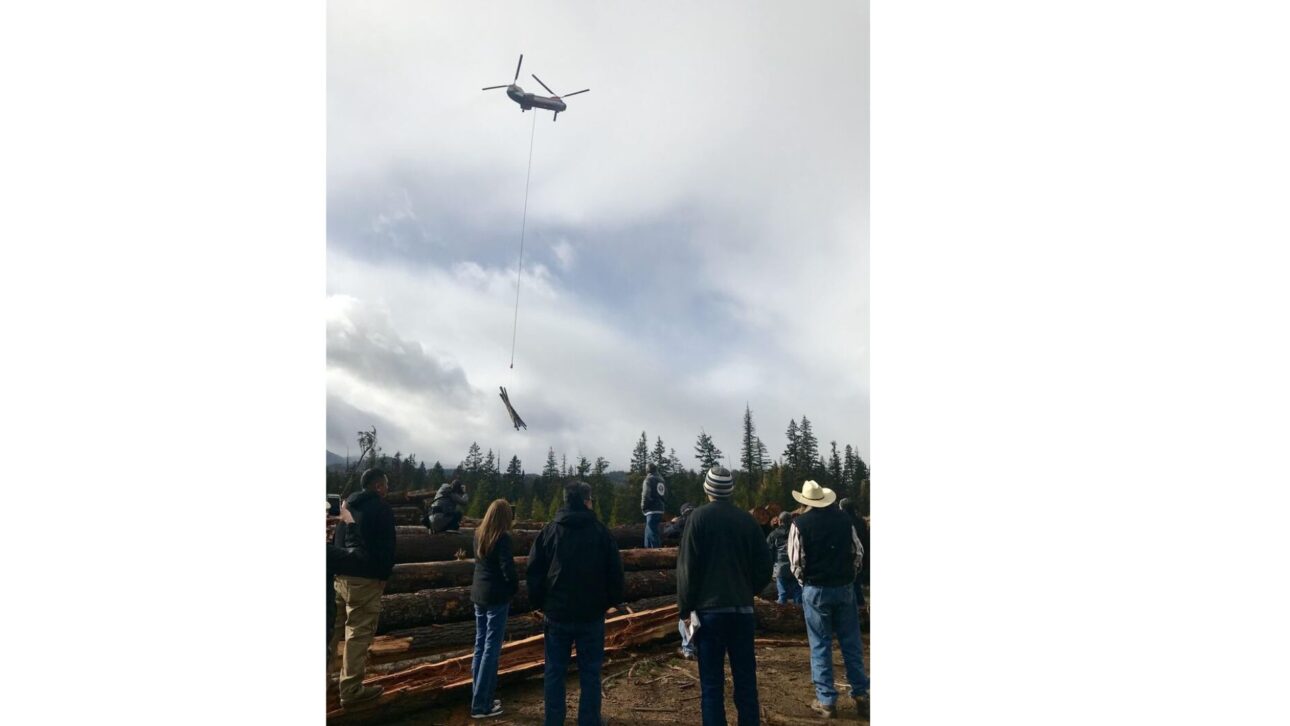 People watch as a helicopter lifts logs into the air. image: Courtney Flatt