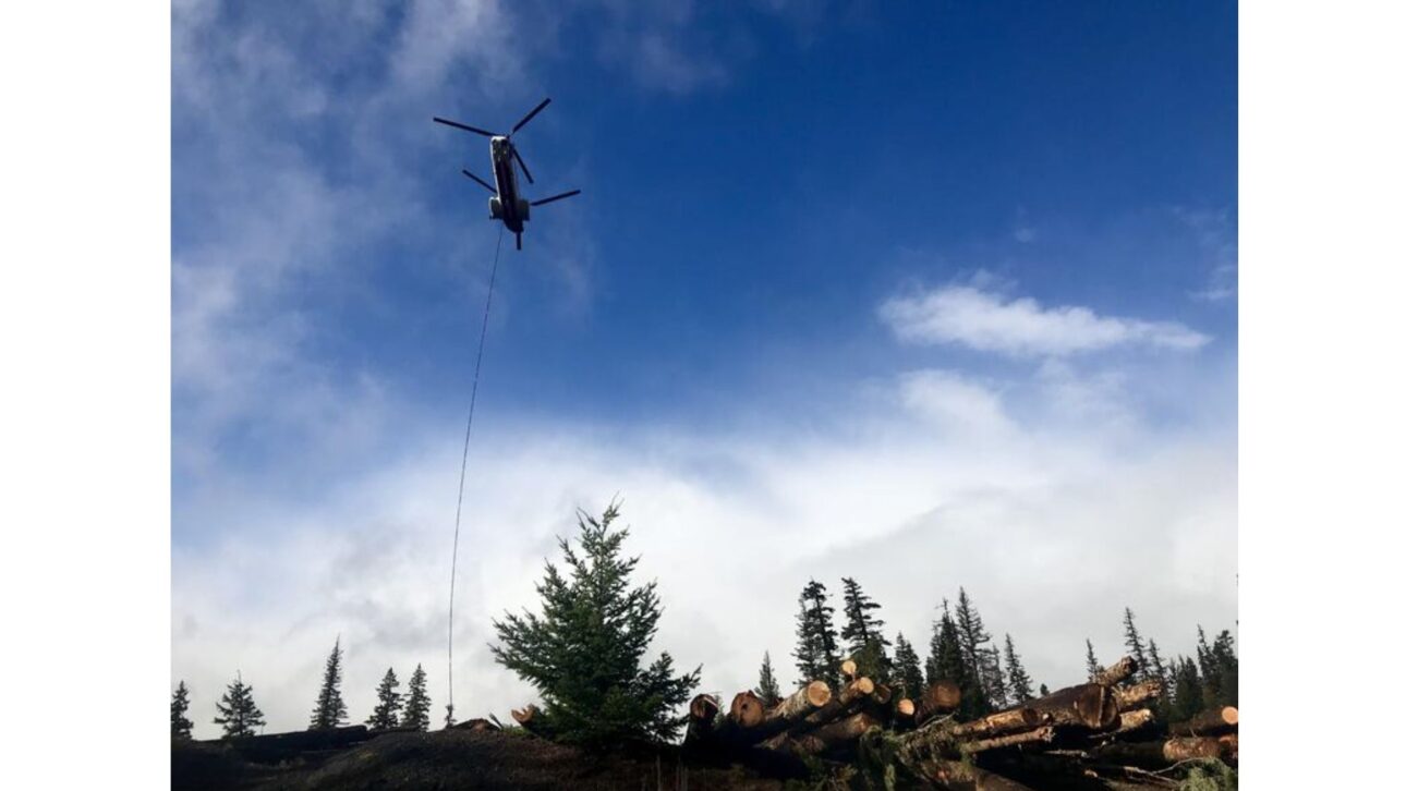 A helicopter is used to transport logs from a storage area to streams that need restoration but are no longer accessible by roads. This is the largest stream restoration effort ever undertaken in the Northwest. image: Courtney Flatt