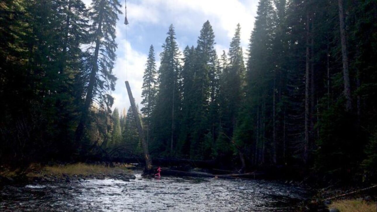 A log is placed in the Little Naches River. image: Courtney Flatt