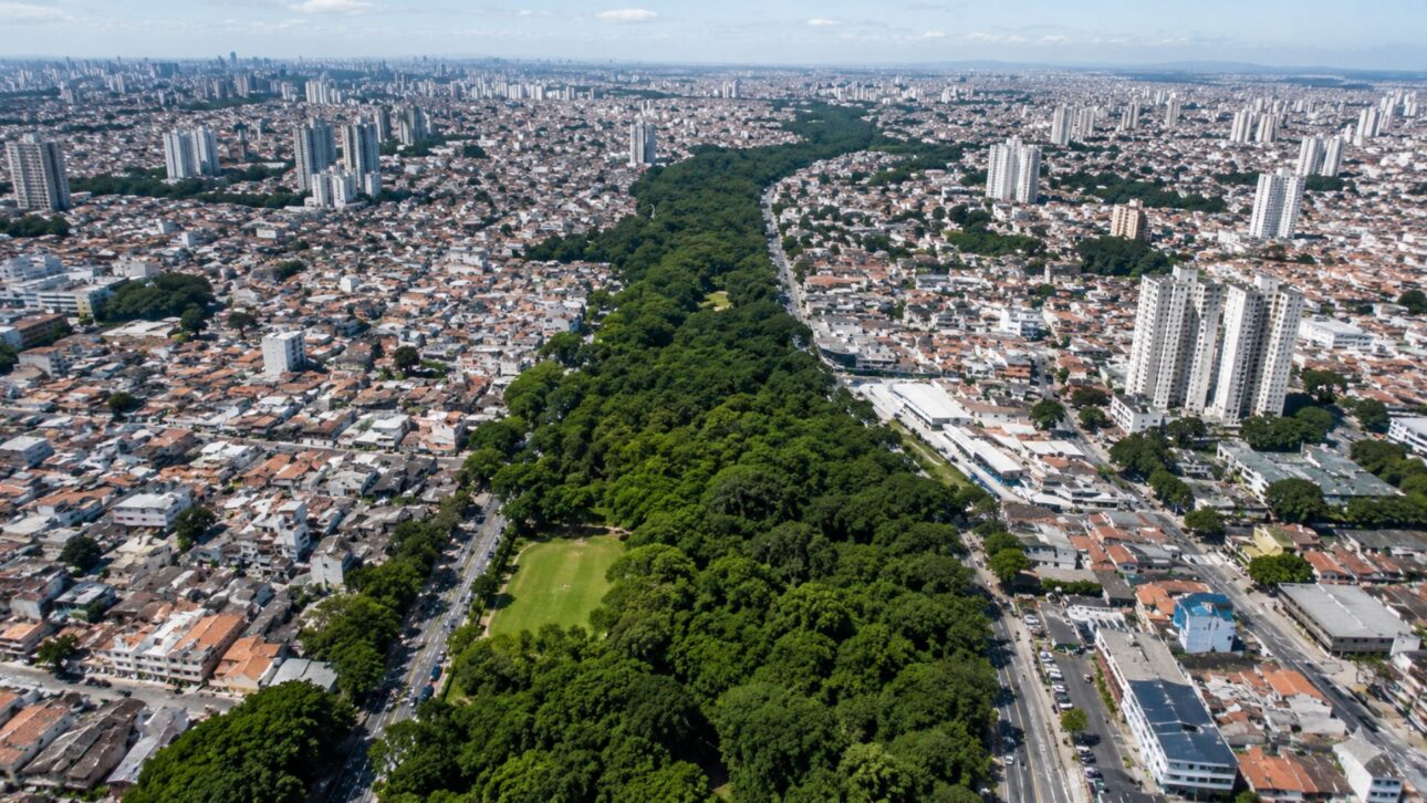 Hélio da Silva creó un bosque urbano de Mata Atlántica con más de 40 mil árboles en el Parque Linear Tiquatira, en São Paulo, sin parar de plantar árboles.