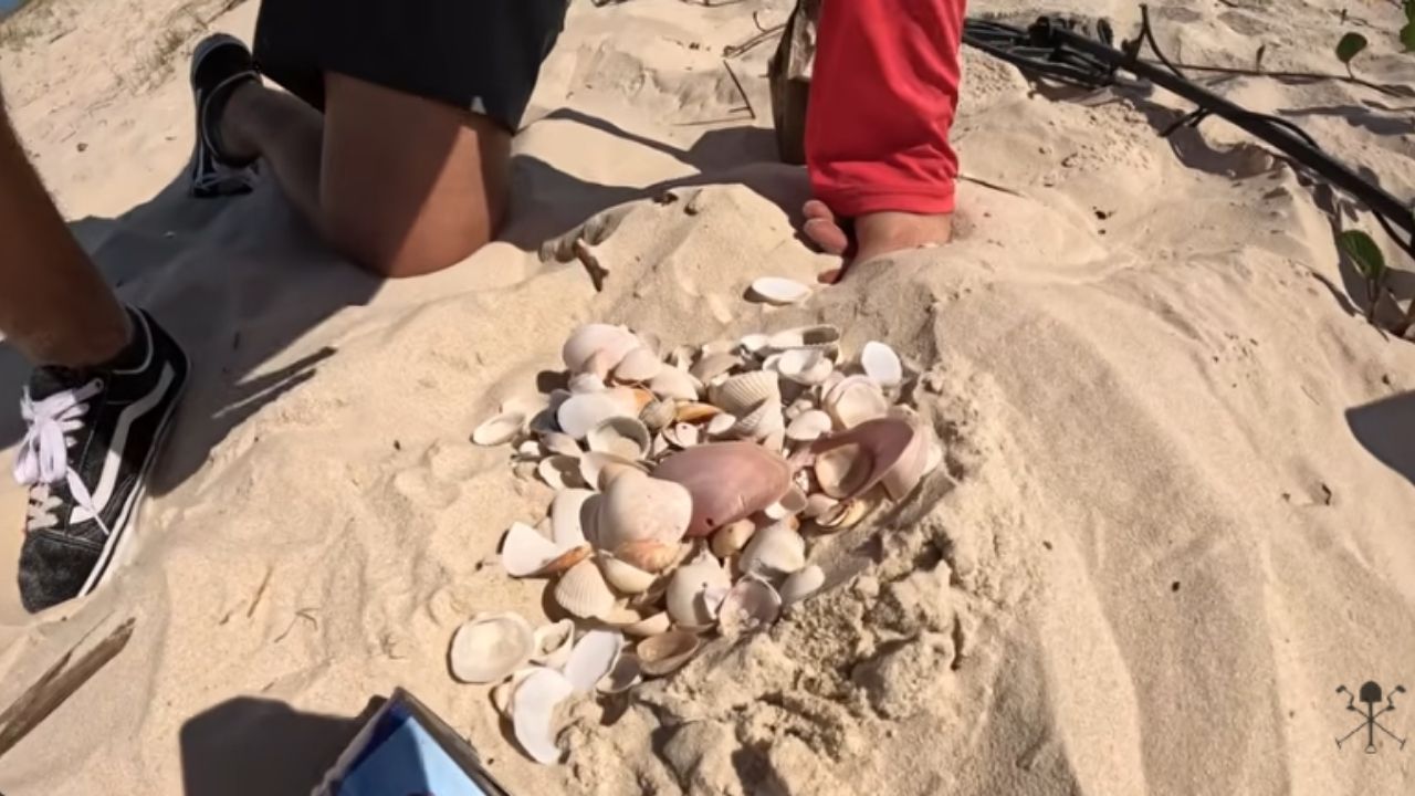 Detector de metais na Praia da Joaquina achou GoPro, objetos na areia e cena estranha nas dunas durante busca curiosa.