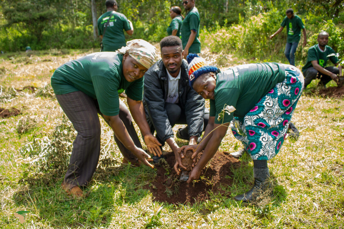 Plantio de árvores virou trabalho, organização comunitária e recuperação ambiental
