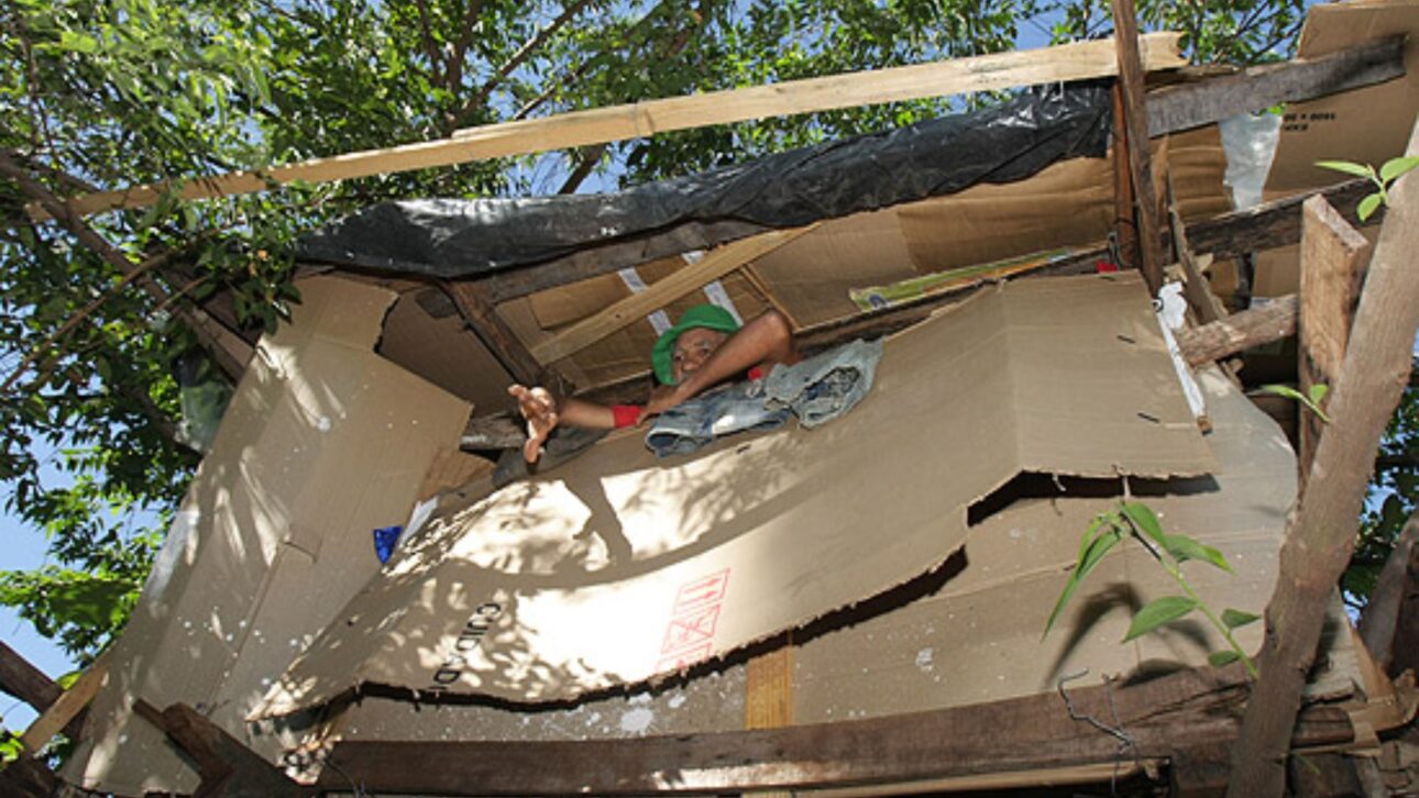 Pedreiro de 72 anos improvisou uma casa em árvore em Ribeirão Preto após ficar sem dinheiro para pagar aluguel e sem moradia formal.