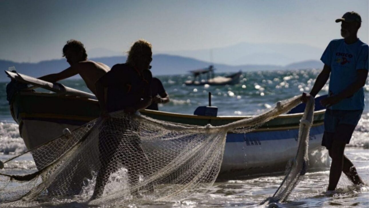 Photo: Disclosure/Ricardo Wolffenbüttel/Archive/SECOM