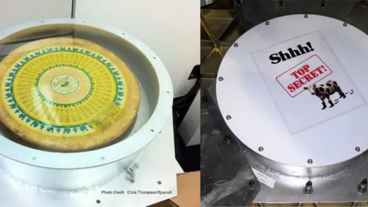 SpaceX enviou queijo Le Brouère na cápsula Dragon em teste da NASA, missão histórica com Falcon 9 e referência a Monty Python.