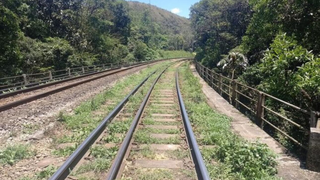 Ferrovia em região de mata mostra cenário semelhante ao potencial trem turístico no eixo Santos-Cajati. (Imagem: Wikiloc)